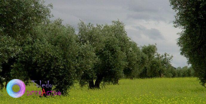 Guadamur / Pueblos de Toledo